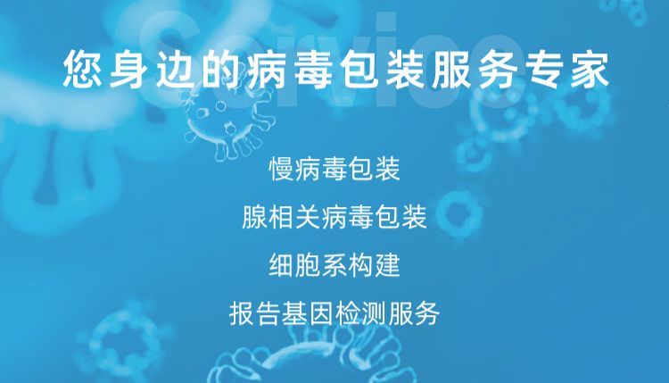 吉满生物慢病毒包装工具——高效基因递送工具与创新产品体系