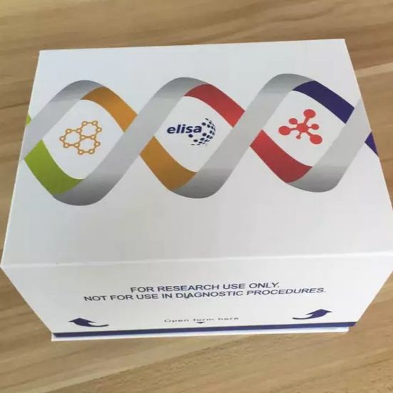 兔紧密结合蛋白1(TJP1)酶联免疫ELISA试剂盒