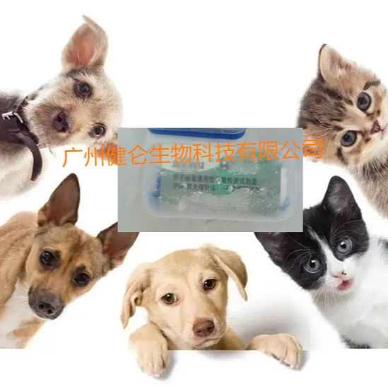 犬瘟热病毒核酸检测试剂盒（核酸PCR法）说明书