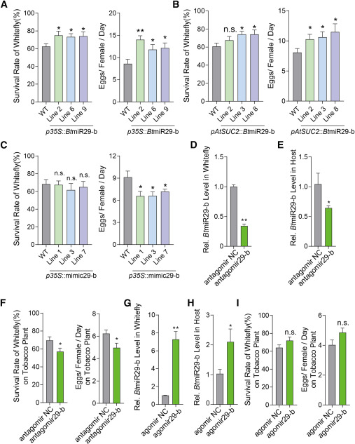 外泌体技术服务 外泌体技术服务