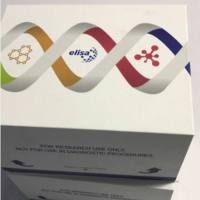 兔性别决定区Y框蛋白9(SOX9)酶联免疫ELISA试剂盒