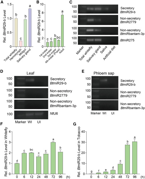 外泌体技术服务 外泌体技术服务
