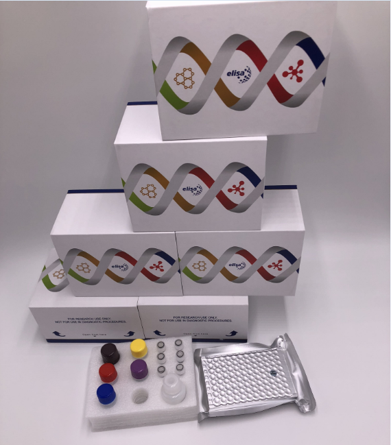 兔核孔蛋白35kda(NUP35)酶联免疫ELISA试剂盒