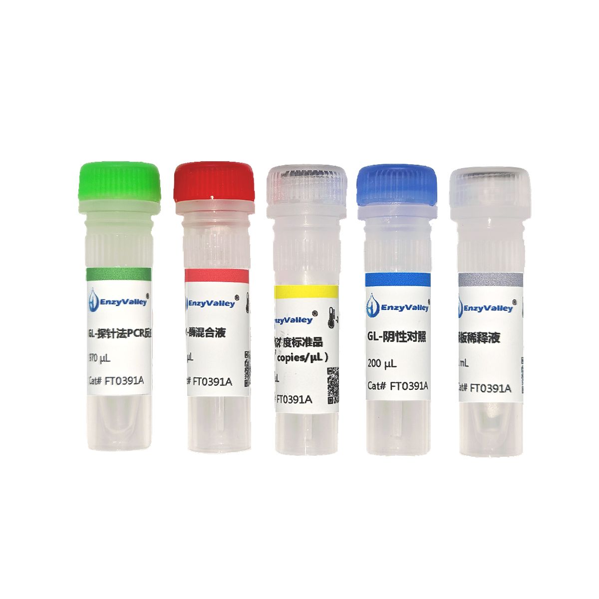 肠贾第虫探针法PCR试剂盒