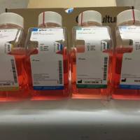 StemPro软骨生成分化试剂盒