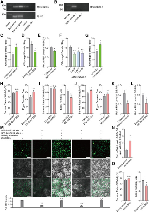 外泌体技术服务 外泌体技术服务