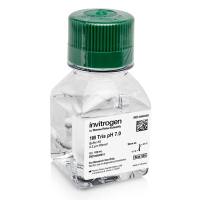 AM9850G Invitrogen Tris (1M)pH 7.0无 RNase 100ml分子生物学级