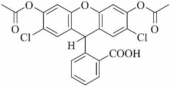 活性氧荧光探针 H2DCFDA(DCFH-DA)