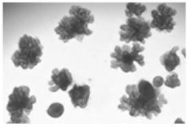 义翘神州高品质细胞因子产品 5折促销