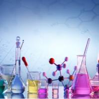 进口分装胎牛血清Foetal Bovine Serum