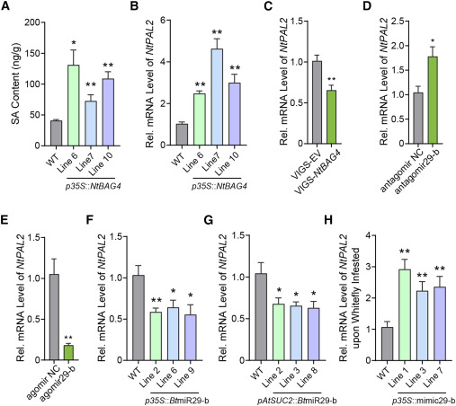 外泌体技术服务 外泌体技术服务