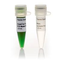 K1082赛默飞DreamTaq PCR 预混液 (2X) 绿色1000次反应Thermo