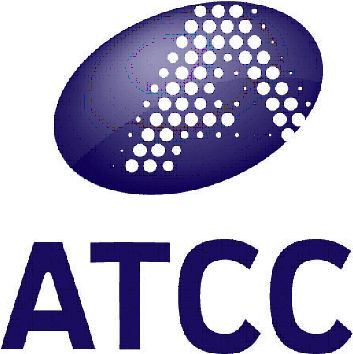 ATCC来源大鼠脊髓前角运动神经元瘤VSC4.1