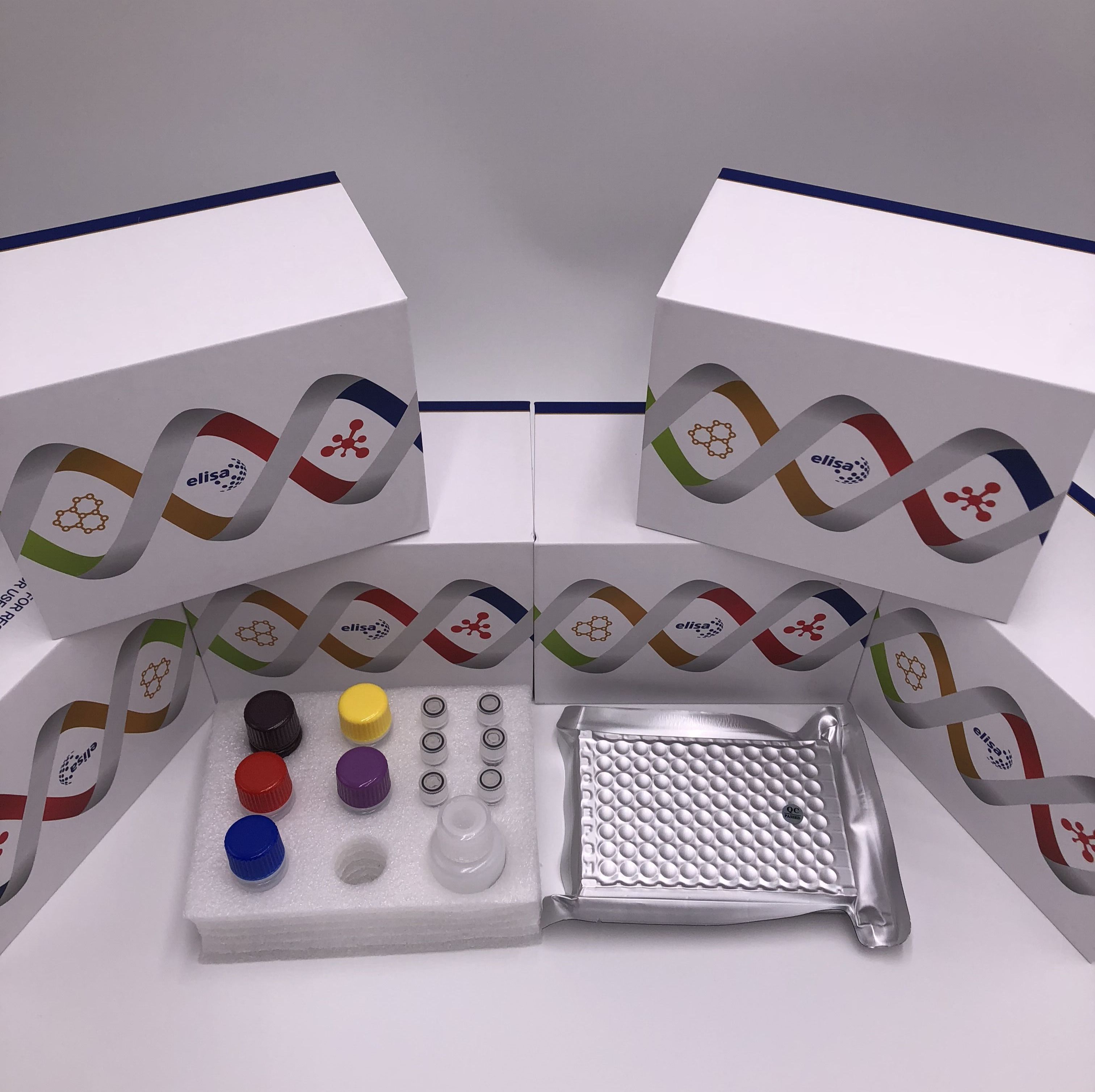 猴胎儿血红蛋白(HBF)酶联免疫ELISA试剂盒