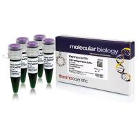 B72赛默飞FastDigest绿色缓冲液 (10X) 5x1mL传统方法克隆Thermo