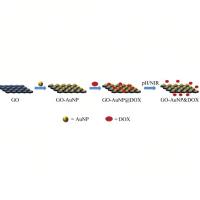 负载碳量子点（CQDs）和金纳米颗粒（AuNPs）的氧化石墨烯（GO）被PEI（聚乙烯亚胺）修饰