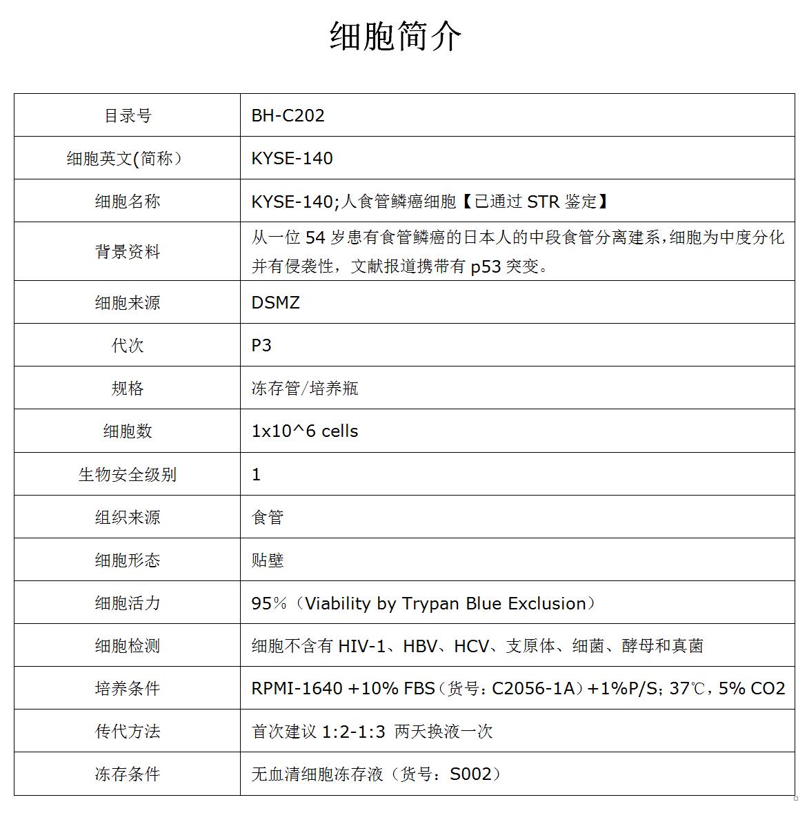 KYSE-140细胞价格、货期