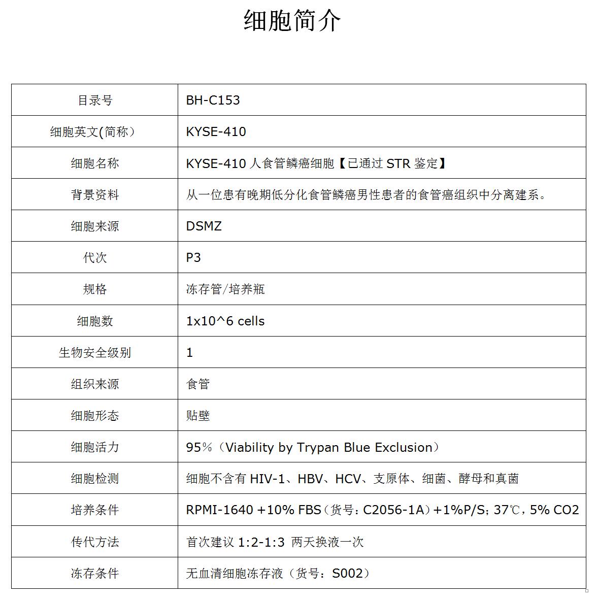 KYSE-410细胞价格、货期