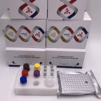 猴原纤维蛋白2(FBN2)酶联免疫ELISA试剂盒