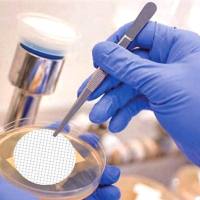 巴罗克-微生物检测膜