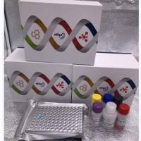 猴双调蛋白(AR)酶联免疫ELISA试剂盒