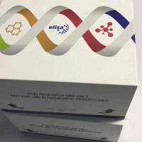 兔STAT蛋白抑制因子1(PIAS1)酶联免疫ELISA试剂盒