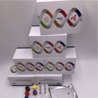 兔巨噬细胞来源的趋化因子(MDC/CCL22)酶联免疫ELISA试剂盒