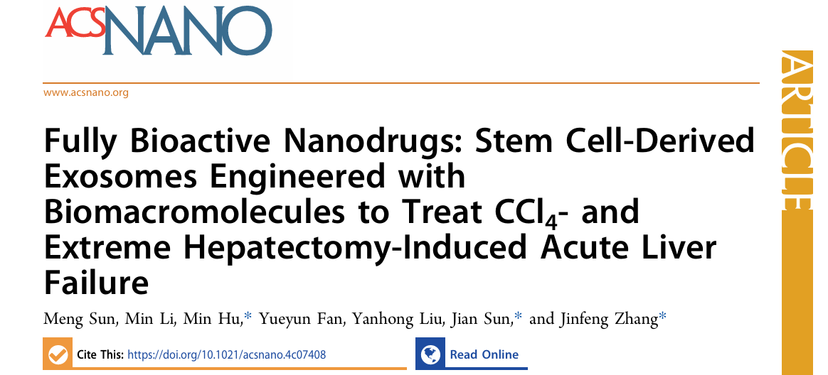 工程化干细胞衍生外泌体用于CCL4和极量肝切除术诱导的急性肝衰竭治疗