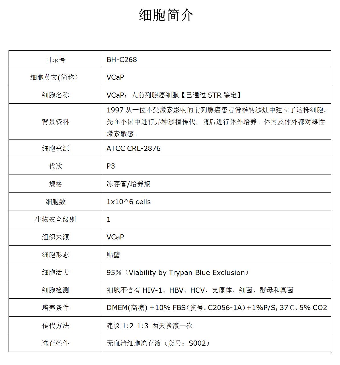 VCaP细胞价格、货期