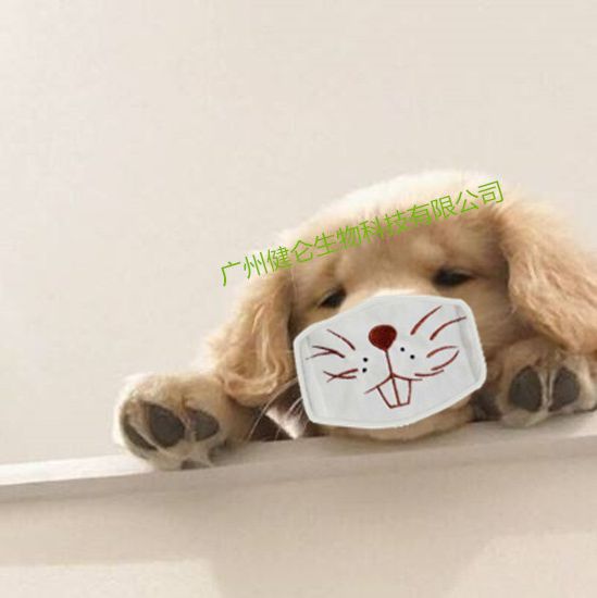 犬呼吸道病原体荧光PCR检测试剂说明书