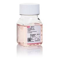 31985062赛默飞Opti-MEM I减血清培养基100ml无菌过滤人源Gibco