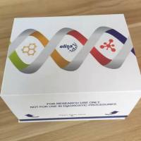 兔雌激素受体β(ERβ)酶联免疫ELISA试剂盒