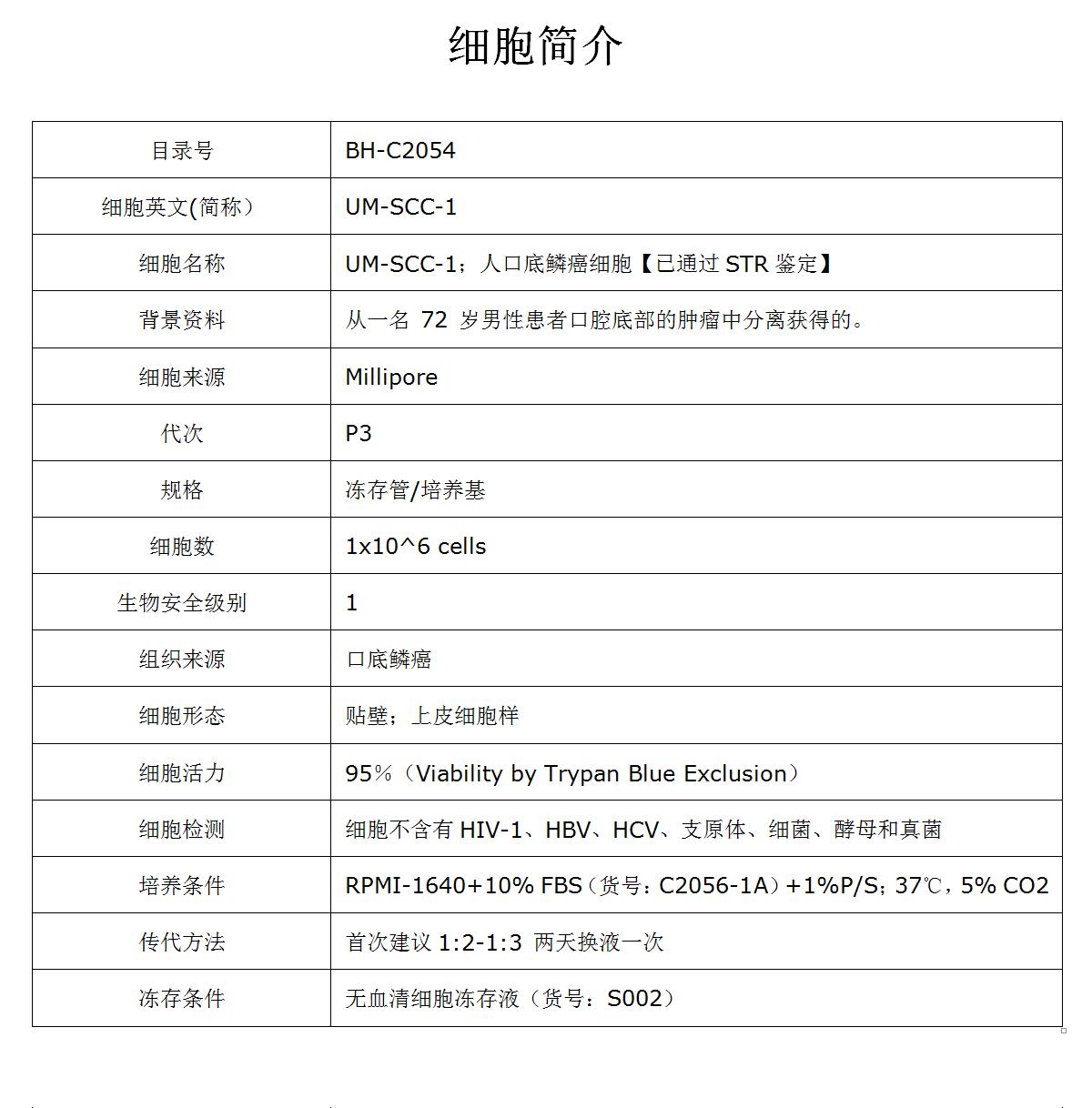 UM-SCC-1细胞价格、货期