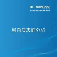 蛋白质表面分析