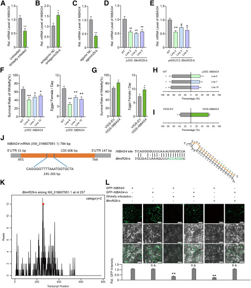 外泌体技术服务 外泌体技术服务