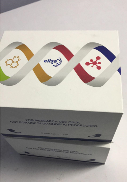 兔泛素蛋白D(UBD)酶联免疫ELISA试剂盒