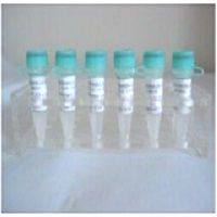 粪便核酸样本保存管