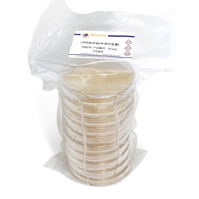LB琼脂平板(含卡那霉素)
