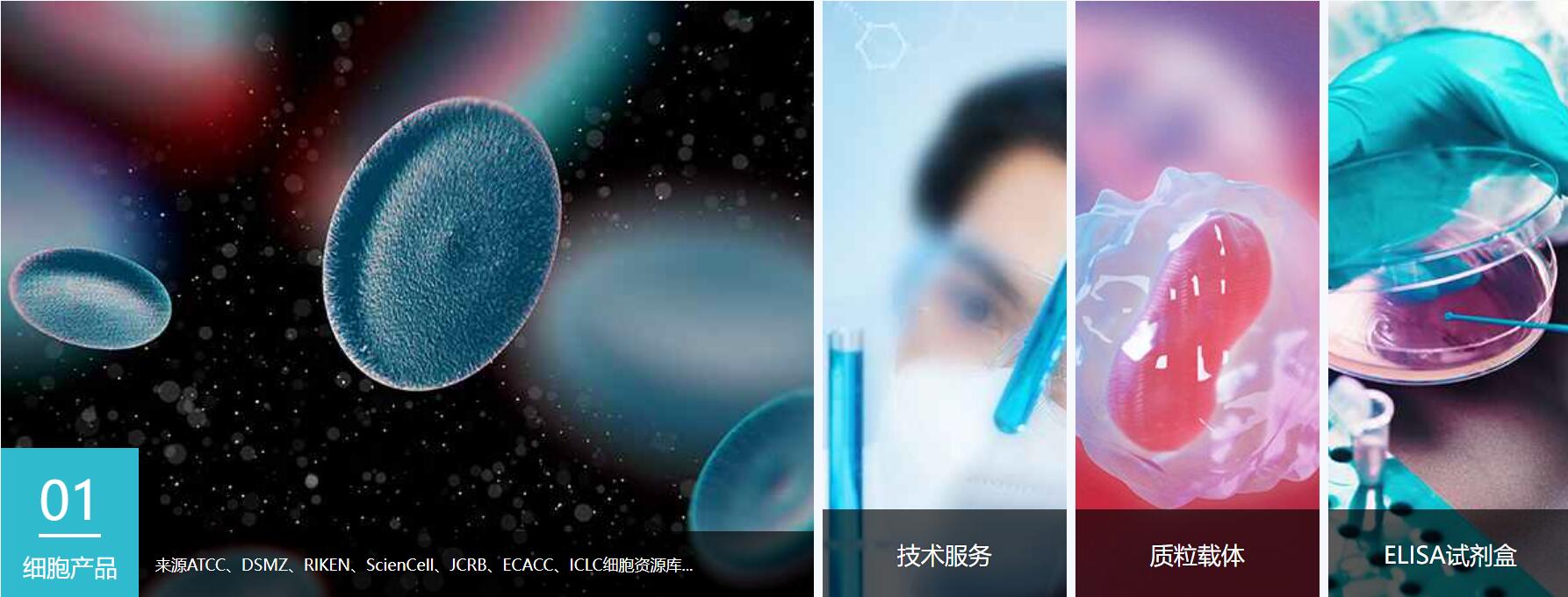 CTX-TNA2细胞价格、货期