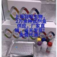 猴肿瘤标志物CA724(CA724)酶联免疫ELISA试剂盒