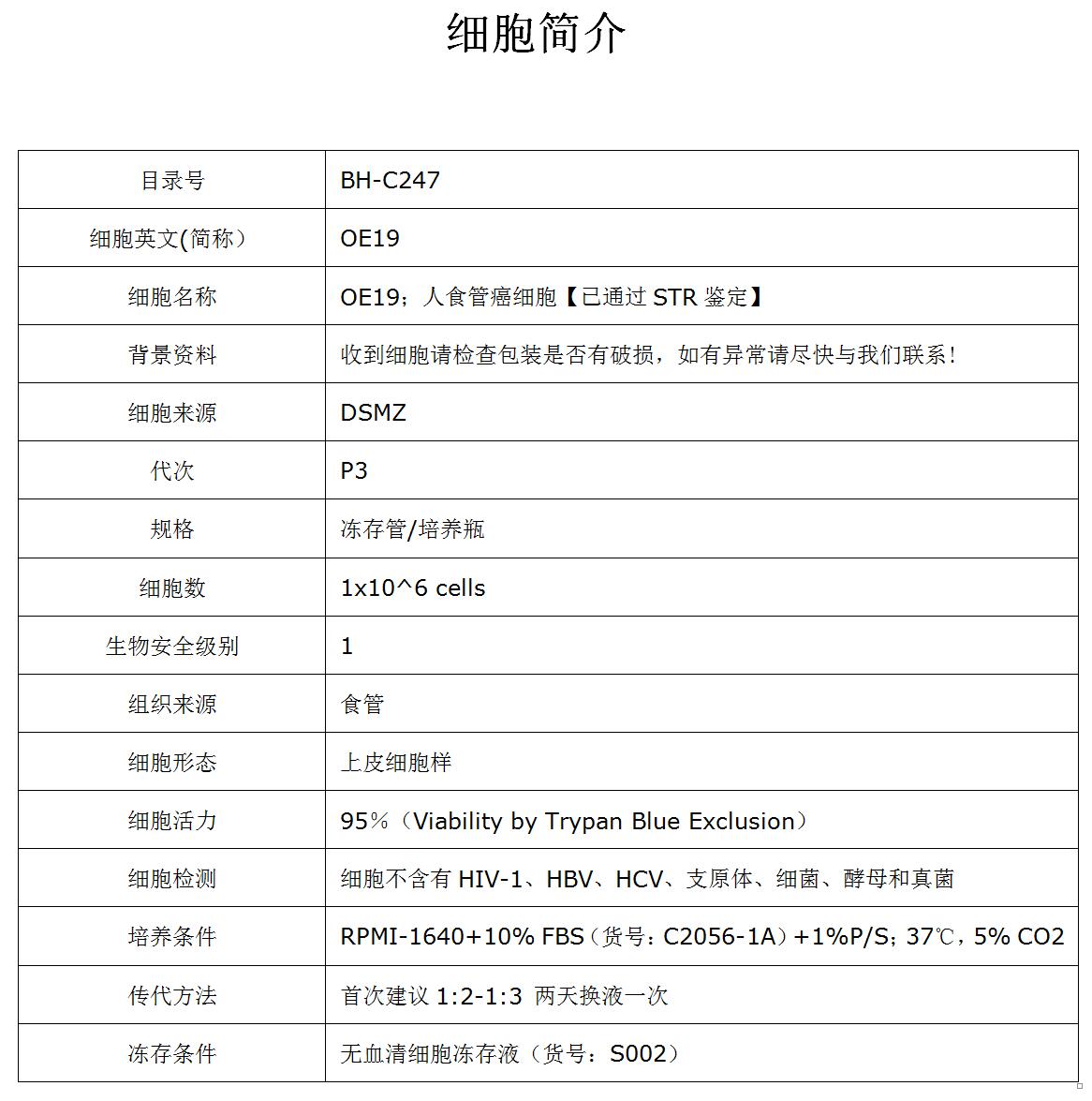 OE19细胞价格、货期