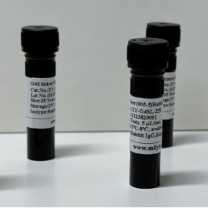 抗（G4S）n流式抗体检测试剂盒