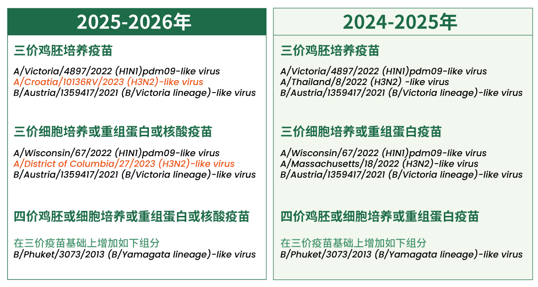 WHO重磅更新2025-2026年流感疫苗推荐组分！除了H3N2毒株有调整外，还首次提到了这类疫苗