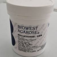低熔点琼脂糖(Agarose with low melting point )