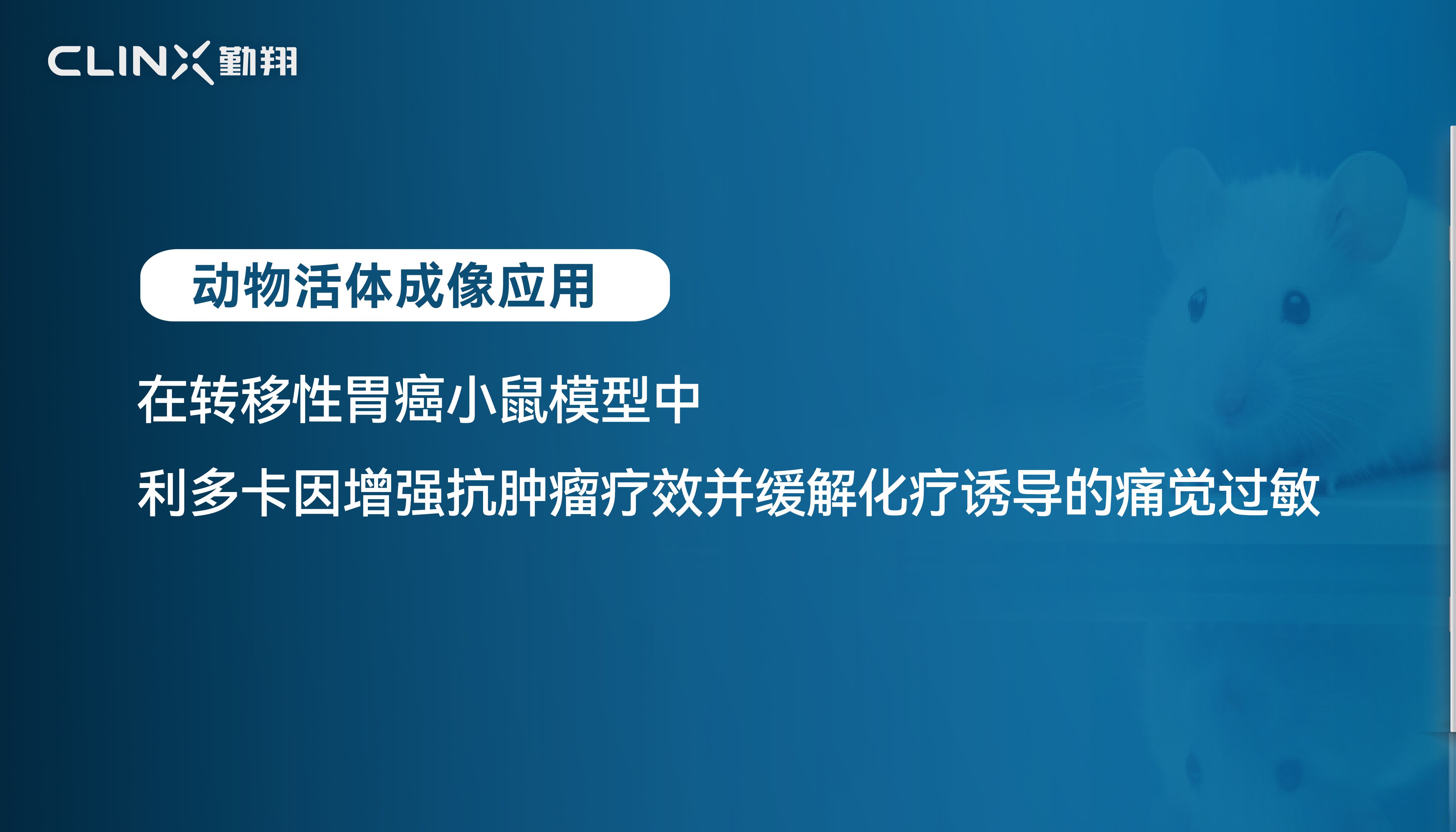 文献速递| 在转移性胃癌小鼠模型中，利多卡因增强抗肿瘤疗效并缓解化疗诱导的痛觉过敏