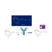 2254086-60-5 |   SAR-408701/ HuMAb2-3-SPDB-DM4