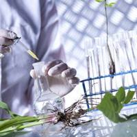 植物黄酮多酚类物质检测靶向套餐