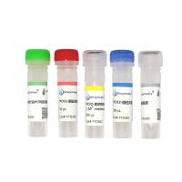 猪圆环病毒 2 型探针法PCR试剂盒