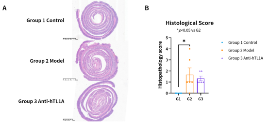 造模百科 | 炎症性肠病免疫系统人源化小鼠模型