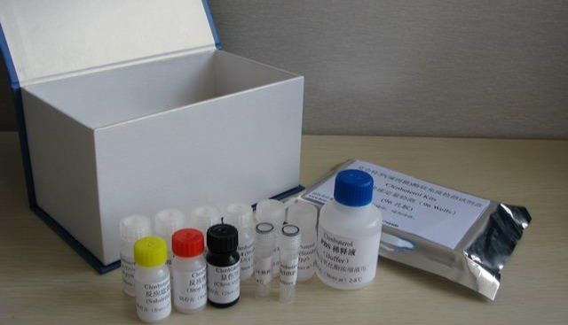 紫外吸收法测蛋白质含量实验原理